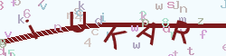 点击更新验证码