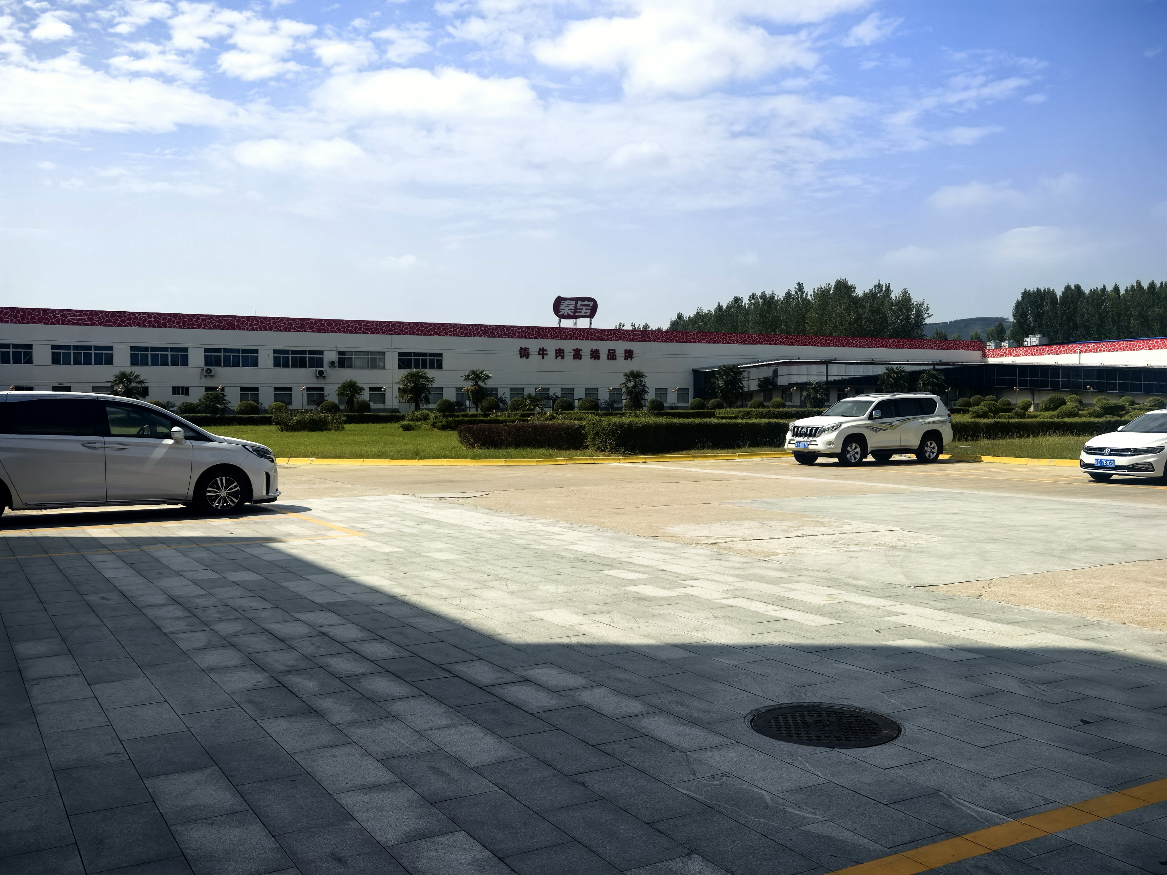 DB��Ѷ�� (�й���)���޹�˾����